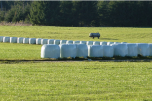 silage wrap options 